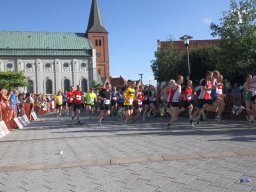 IMG_3145