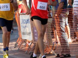 IMG_1141